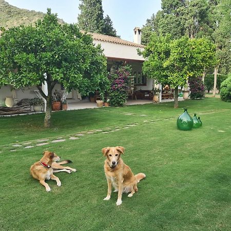 B&B Giallo Limone Теулада Екстер'єр фото